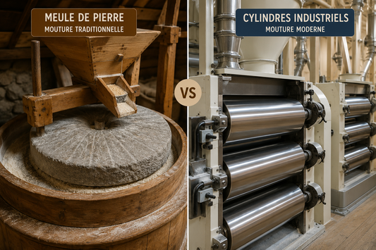 🌾 FARINE ARTISANALE VS FARINE INDUSTRIELLE