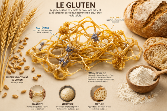 LE GLUTEN — ALLIÉ OU ENNEMI ?