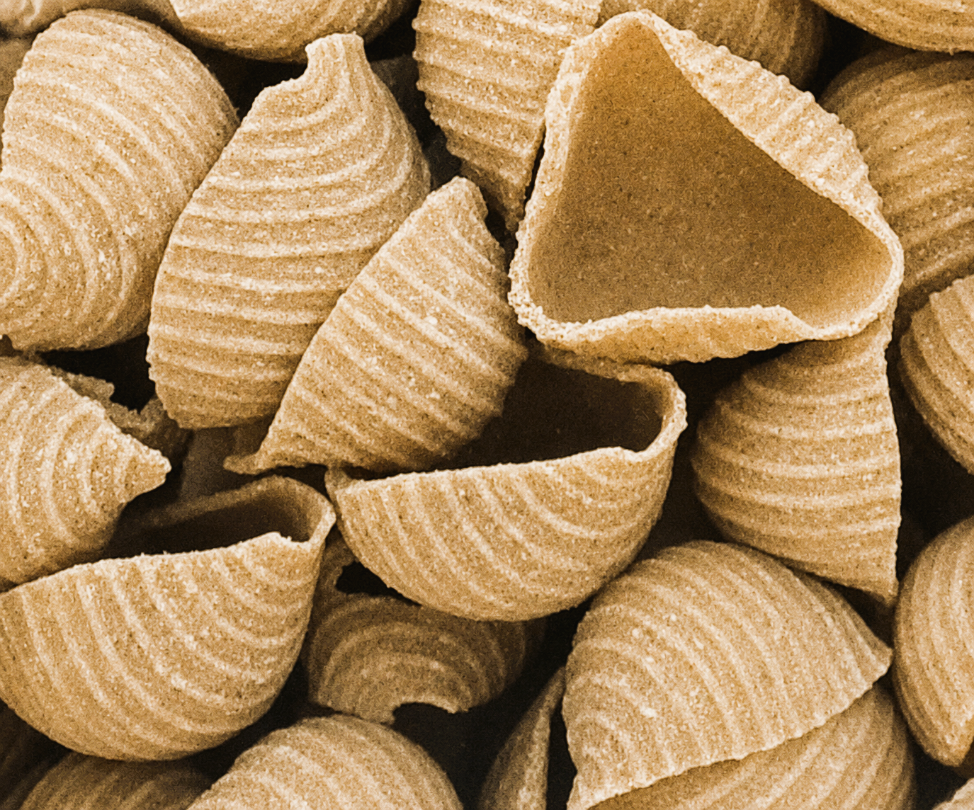 Coquilles