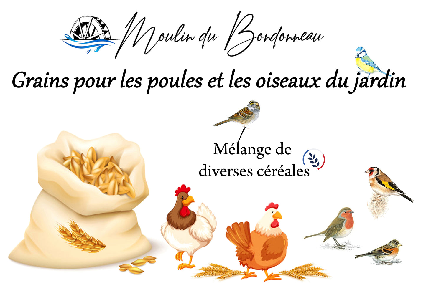 Graines pour les poules ou les oiseaux du jardin sac de 10kg